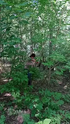 #жизньзагородом #ТвоёЛетоТвоёВремя #тиктокнутый