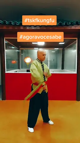 TSKF Kung Fu facão #tskf  #kungfu  #artesmarciais  #shaolin #agoravocesabe