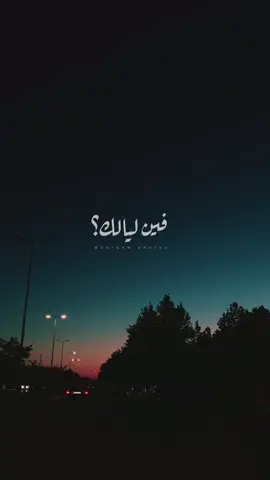 اكثر أغنية بتحبوها لـ #فضل_شاكر ؟🧡 #فين_لياليك #fyp #اغاني_عربيه #تصويري #الاردن #اكسبلور