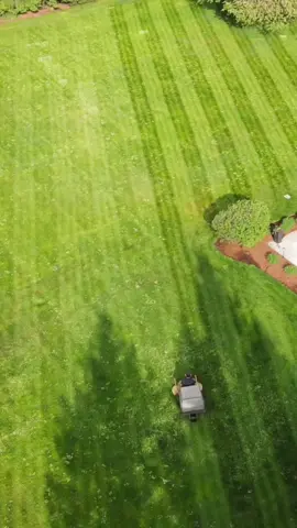 this ones for the dads 😅 #yourpage #satisfying #lawntok #grass