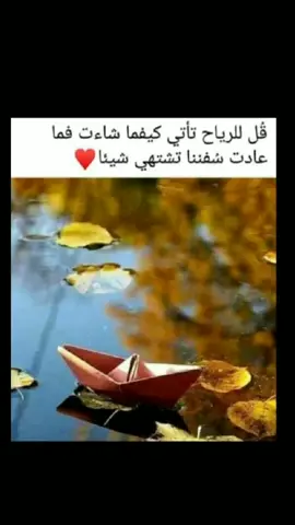 #الوطن_العربي_تيك_توك #