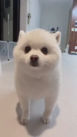 야ㅜ그렇게 반응하면 재미없잖아ㅜㅜ