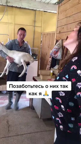 Бомбические красотки👸🏻