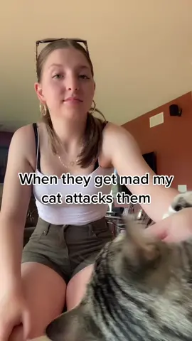 Lmfaooooooo #cattiktoker #fyp #foryou #donttalktome #catsoftiktok