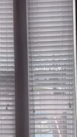 mini vlog bc yesterday was a lazy day #fyp #foryou #MACscaraface #Vlog #aesthetic #thatgirl #dayinmylife #southcarolina #lazydayroutine #minivlog