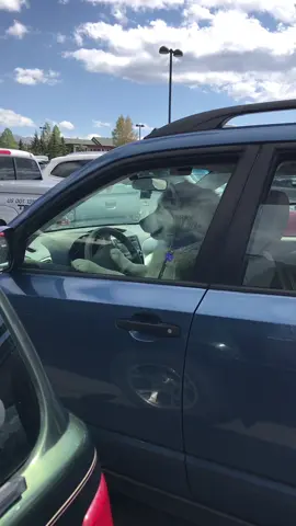 One horny husky. 🎺🐶🚙  #huskydoggo #dogsincars #carpoolkaraoke #hornplayer #brasssection