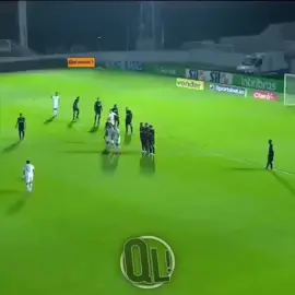 Nenê com toda sua categoria que cobrança. #gol #golaço #futebol #fluminensefc