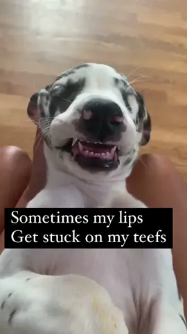 😁 It happens! #fyp #stuckonmyteefs