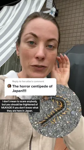 Reply to @her.atlas MUKADE are straight out of my nightmares 🇯🇵🤢🤢#mukade #japan #centipede #poisonus #lifeabroad #inaka #japanesecountryside