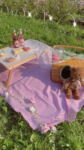 念願のおしゃピクやったよ！🌷🧺プリンセス感出て超大満足！🥺🏰💖#aestheticpicnic #おしゃピク準備 #ディズニープリンセス男子 #おすすめ載りたい #おしゃピク初心者