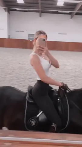 Hi 🖤 lieber schlichte oder knallige Farben am Pferd ? IG:annchenaugustine.augustine #fy #foryou #equestrian