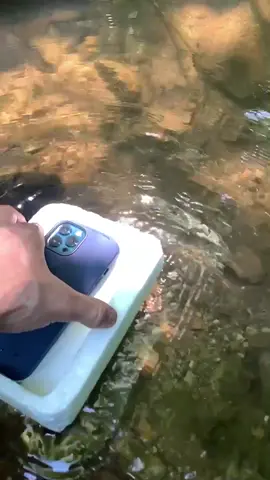 Manzarayı nasıl buldunuz 💯👍👍 #nature #manzara  #promax  #amazin #amazing #legendas #dere #orman #keşfetartık #görbenitiktok #önerçıkar