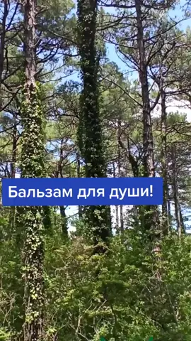 #Душевная песня #Природа #Море #