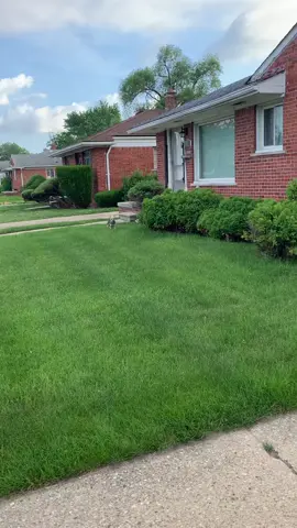 #Fyp #dogsoftitktok #yorkshierterrier  The neighbor asked me to keep him off they lawn an he keep breaking in they yard
