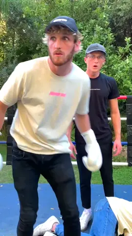 in honor of all the boxing goin on