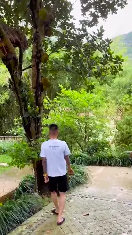 Coi Hết Cấm Cười Nhé Cả Nhà #huanhoahongtiktok #linhpham6789 #trend