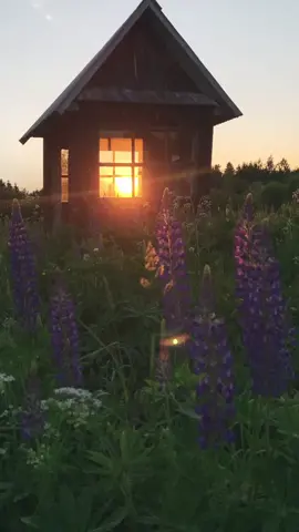 По дороге домой..В этой маленькой деревне - церковь, единственная на 50км вокруг#cottagelife #летовдеревне #эстетикароссии #жизньвдеревне #лето