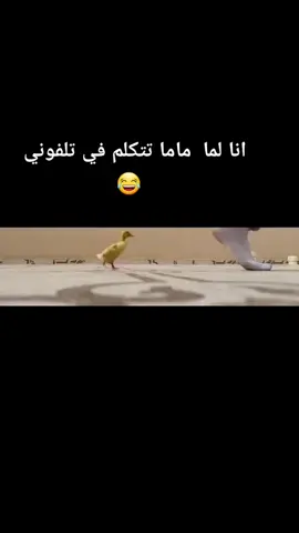 😂