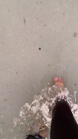 Como hacer para que no os pique una faneca brava 🐠