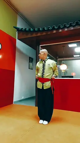 TSKF Kung Fu #tskf  #kungfu  #artesmarciais  #shaolin #oladobomdascoisas