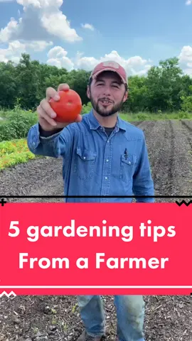 5 gardening tips from a farmer #farmerfroberg #creativityforgood #gardenlife #homesteadingtiktok #farmhouse #tomatoes #beets