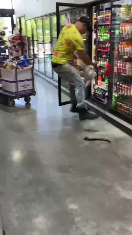 SNAKE PRANK 🐍‼️😂😂😂 FOLLOW FOR MORE FUNNY VIDEOS‼️