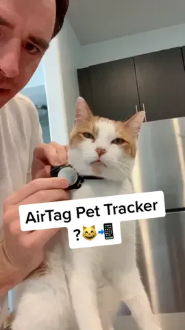 Reply to @banashib Get this AirTag holder to attach to your pets collar at my Etsy store(link in bio)#cattravel #cattips #airtag #pettracker