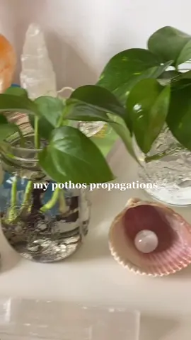 absolutely love this space:) #foryou #fyp #RoomTour #roomdecor