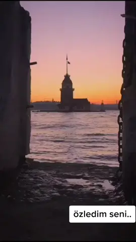 #sabancikardeşler01 #halitbilgiç  #özledimseniözledim #keşfet #tiktokizlenme #fyp #kendimleçelişkim