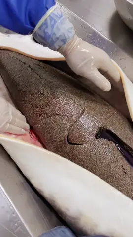 How to make caviar #caviar #foryourpageviral #foodieee