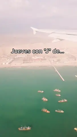 Con toda la actitud 😎 Hagan sus pedidos 🤟#jueves #cancionesparahistorias #frasesdecanciones #Kittycanciones #fypシ #parati #cerveza #cancion #badbunn