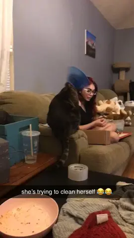 poor baby 😪😂 #fyp #catsoftiktok