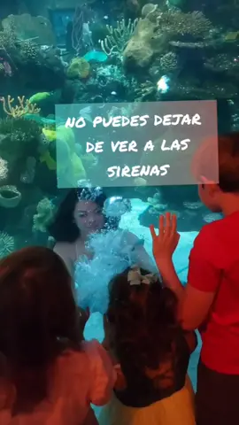 al final estan los horarios #gratis #lasvegas #enlasvegas #latinostiktok #sirenasreales #sirenas #sirenascaptadasencamara