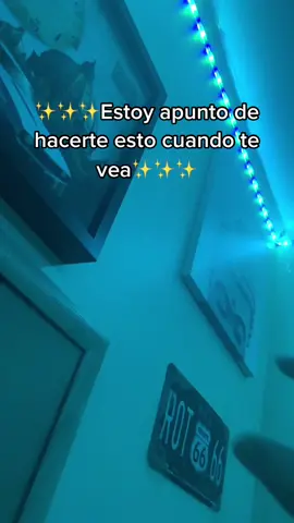 🤣❤️ #fy #cat #catsoftiktok #catfunny #gatoenojado #gatoviral #viral #virales