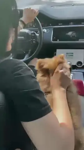 #foryoupage #foryou #fyp #🇩🇿🇲🇦🇹🇳 #🇲🇦