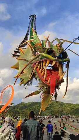Layangan Naga Raksasa #layangan #layangannaga #dragonkite#layanganbesar