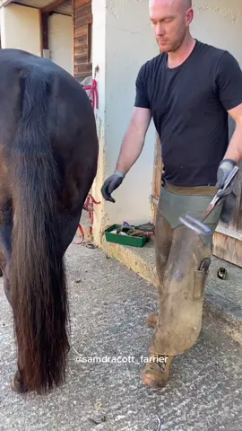#samdracottfarrier #asmr #satisfyingvideos