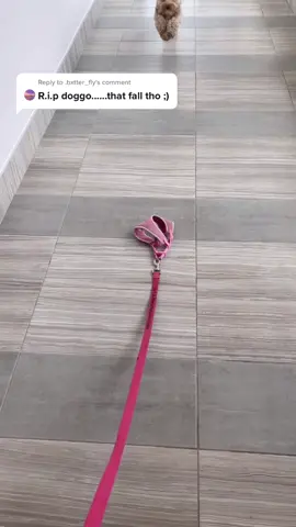 Reply to @.bxtter_fly fall down 7 times, get up 8…