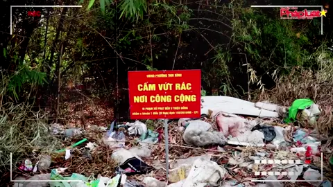 P Tam Bình, TP. Thủ Đức: Những bãi rác tự phát gây ô nhiễm môi trường, làm xấu mỹ quan Thành phố (Phần 1) #xarac #ThuDuc #Duaphapluatvaocuocsong