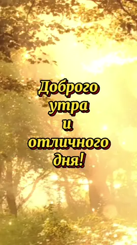 #сдобрымутромхорошимднем