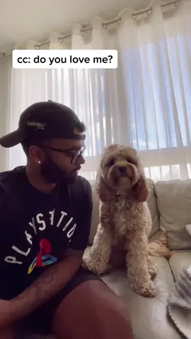 We don’t deserve our dogs 🥺😭 #dogs #puppylove #doglove #petstory