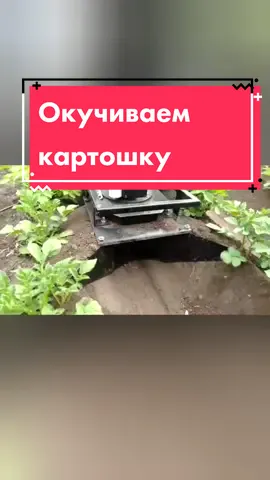 Продолжаю вас знакомиться с нашим устройством для обработки почвы #чудотехники #дачныесоветы #садовод #лайфхакидлядома