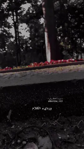 #CapCut #ubayda_123 #خالد_الراشد #foryou #تصويري #foryoupage #مواعظ #لاالەالااللە