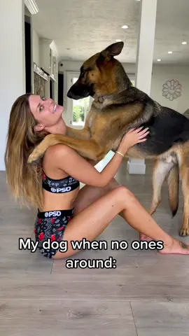 Anyone else’s #dog like this? 🤣🐶