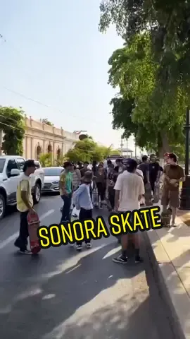 De sonora para el mundo #flip #goskateday #skateplaces #gopro #fyp #sk8 #vans #goskate #pridemonth