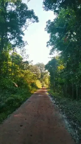 #trilha #mountainbike #mtb #trilhas #natureza #trekking #nature #aventura #adventure #eco #ride #ciclo #bike #FreedomChallenge #AMúsicaNãoPara #trip