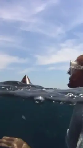 Reply to @vicky.zieba this sport is INSANE 😳🪨 #redbullcliffdiving #cliffdiving