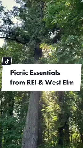 Kick your picnic up a notch with West Elm’s new #REI collab: westelm.com/REI (🎥: aliviafields on IG) #westelm  #picnic #picnicdate #camping