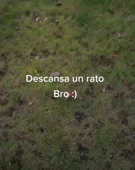 #Minecraft #sounds #fypシ #parati #relaxing