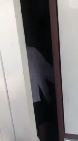 ไม่ได้ทำไร หัวเเค่ยุ้ง ติดกระดุมผิดเอ๊งซ้อนเด็กไว้ในห้องน้ำ😆